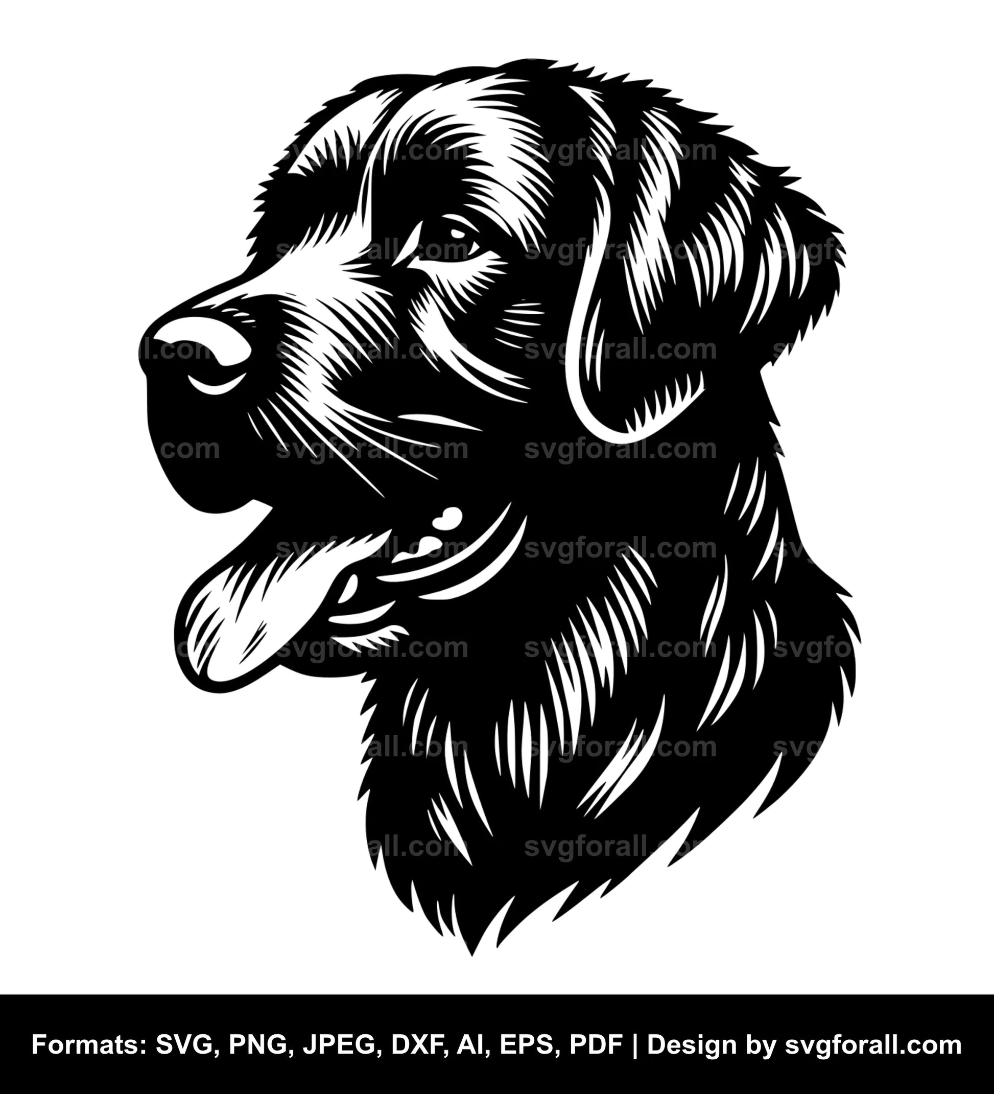 Chesapeake Bay Retriever Dog SVG