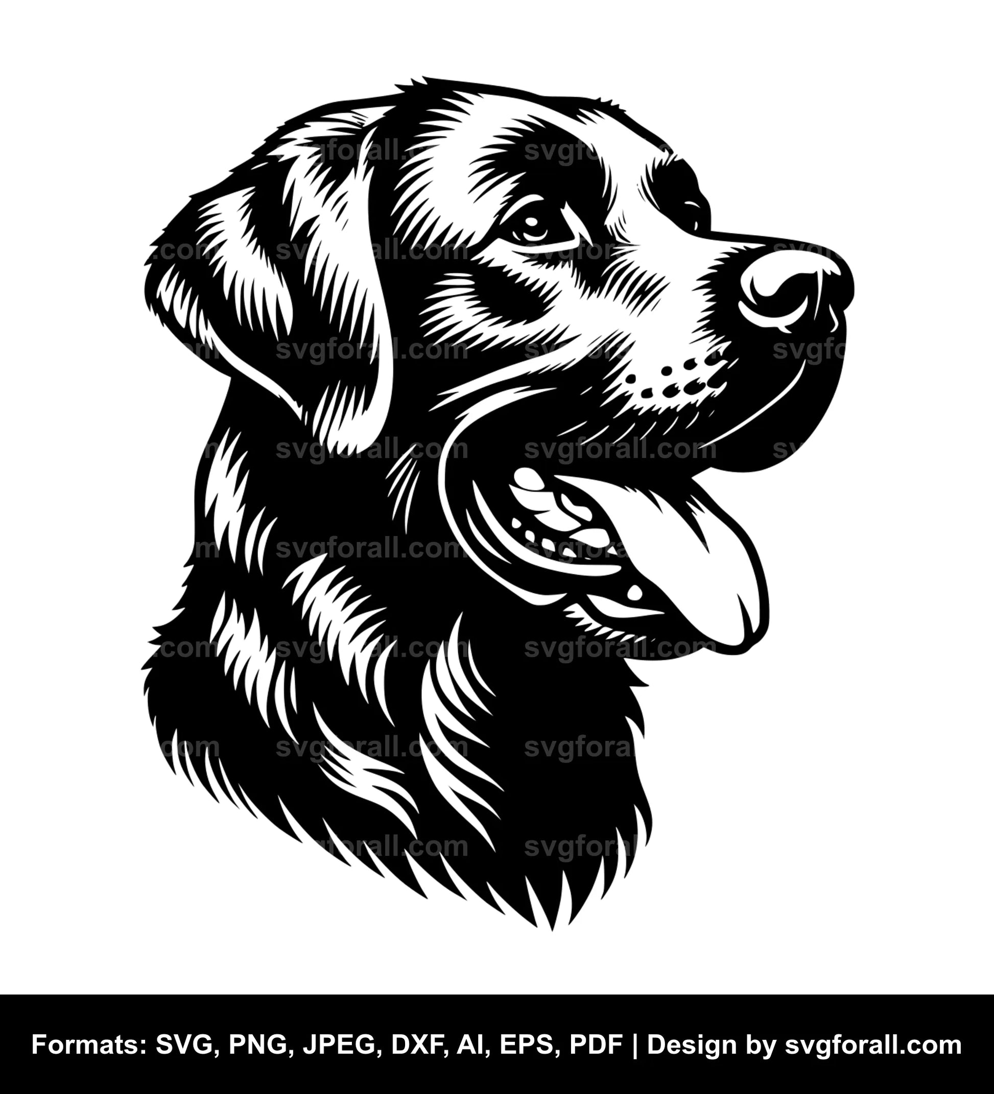 Chesapeake Bay Retriever Dog SVG File