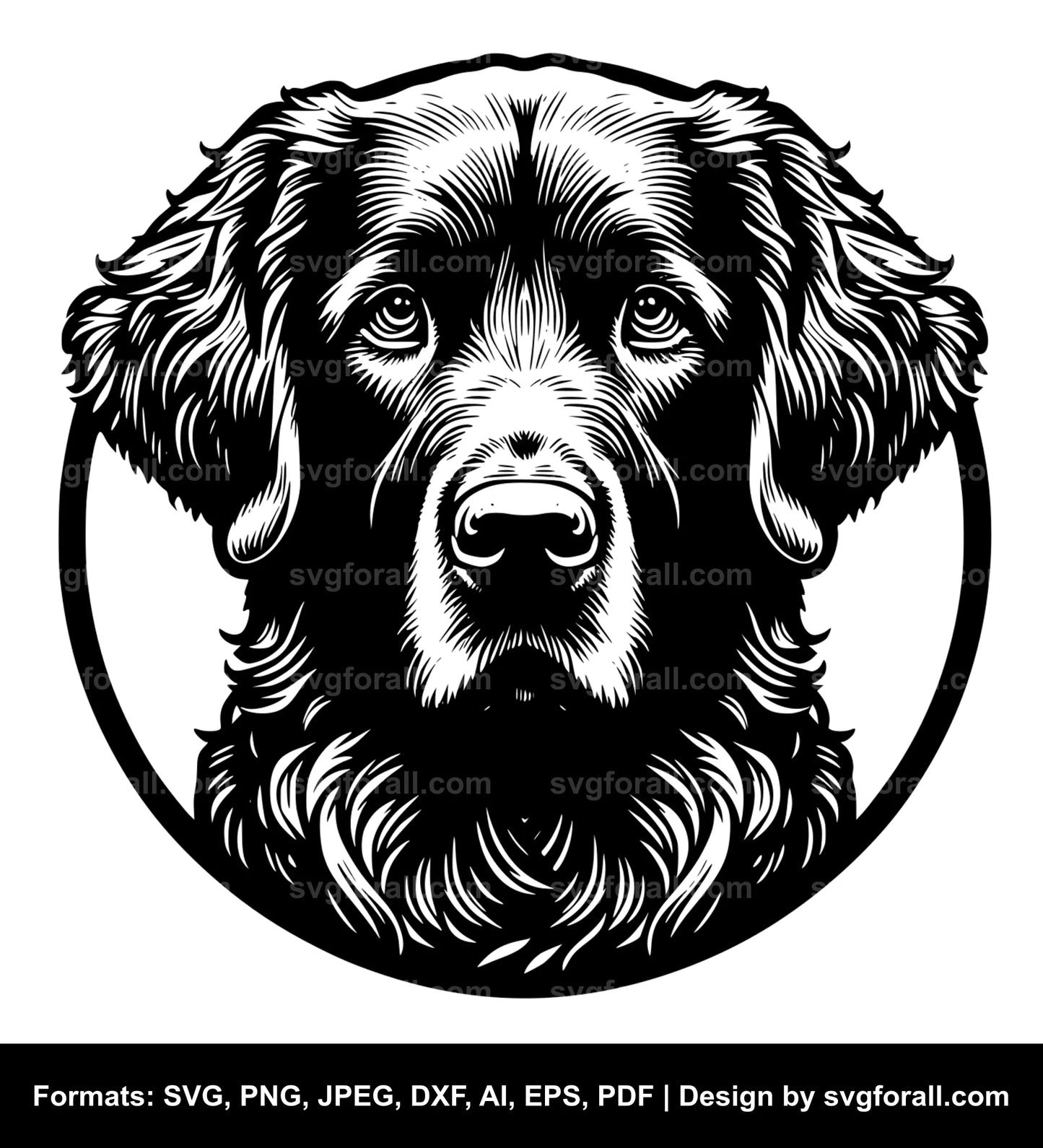 Chesapeake Bay Retriever Dog SVG PNG