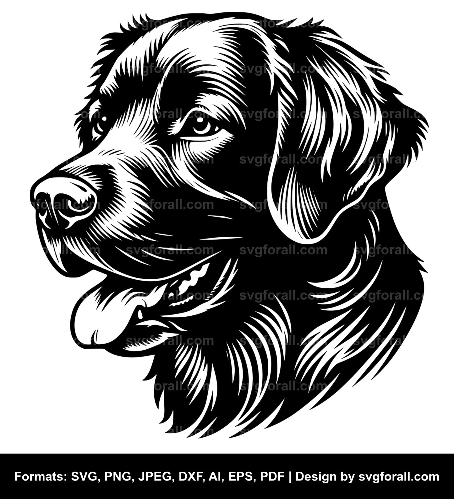 Chesapeake Bay Retriever Dog SVG Vector