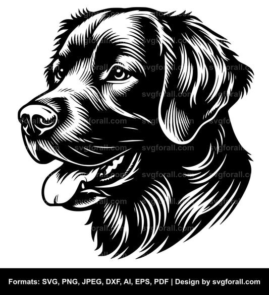 Chesapeake Bay Retriever Dog SVG Vector