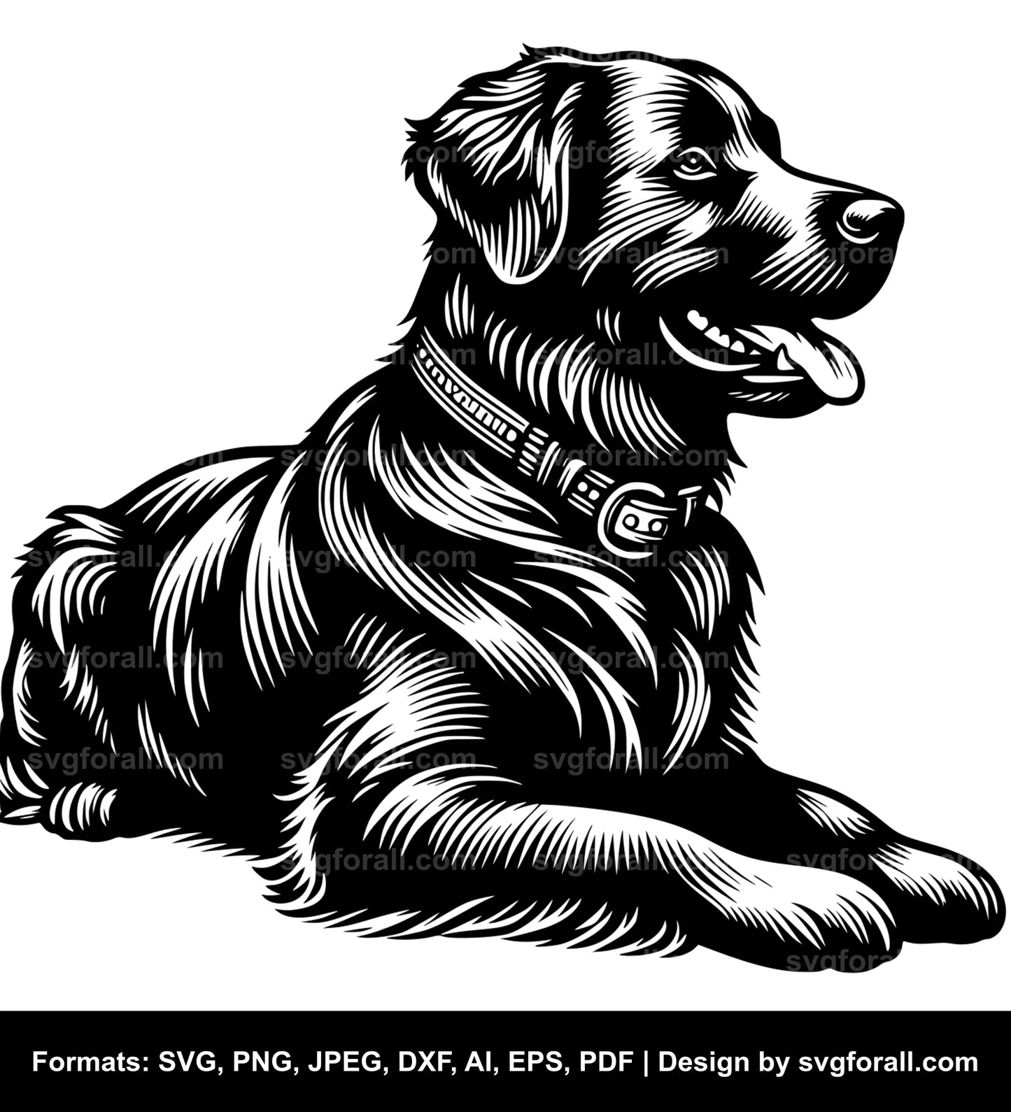 Chesapeake Bay Retriever Dog Vector SVG