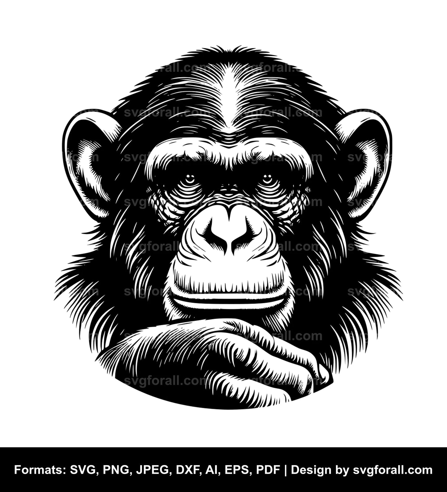 Chimpanzee SVG