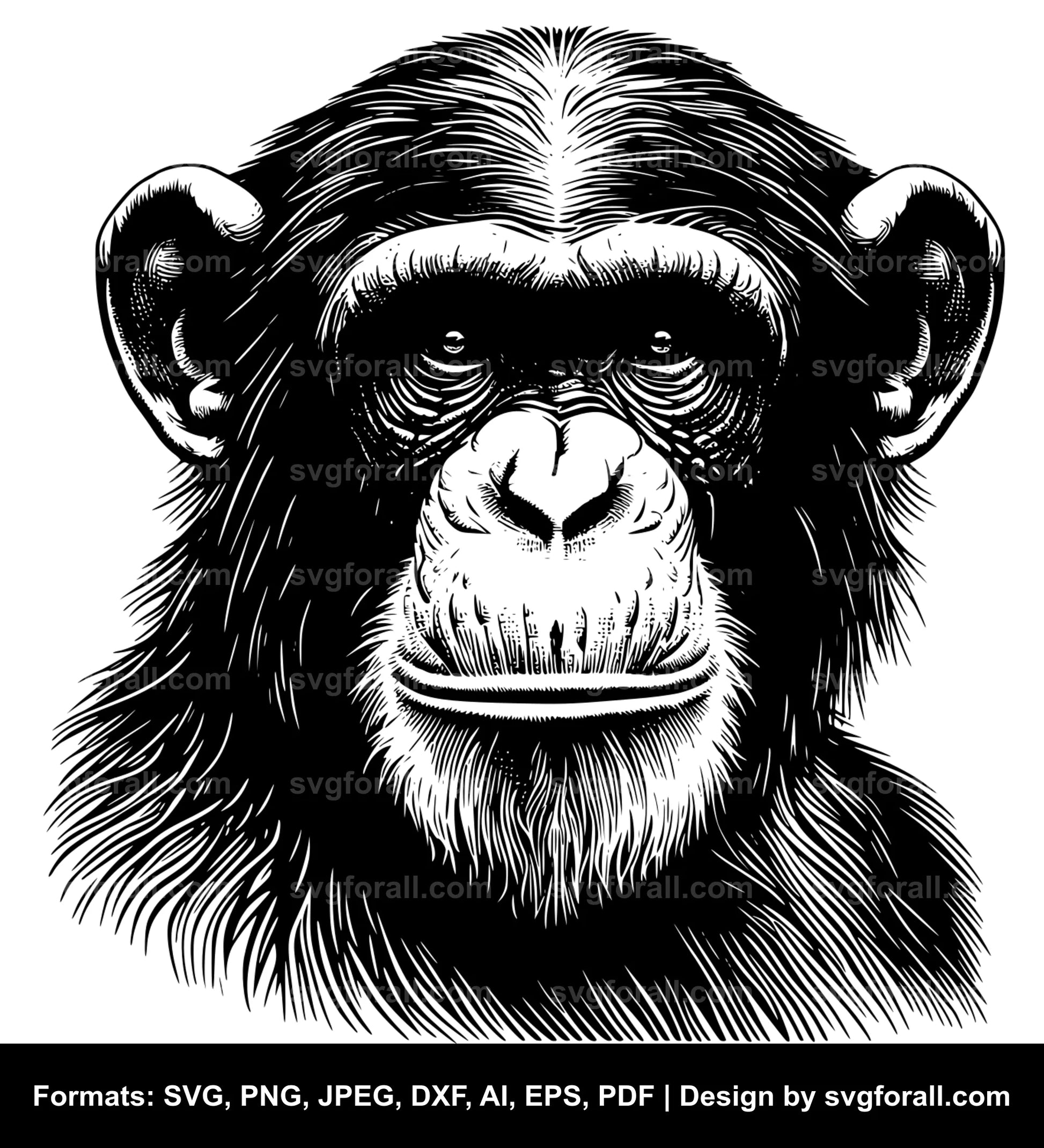 Chimpanzee SVG Vector