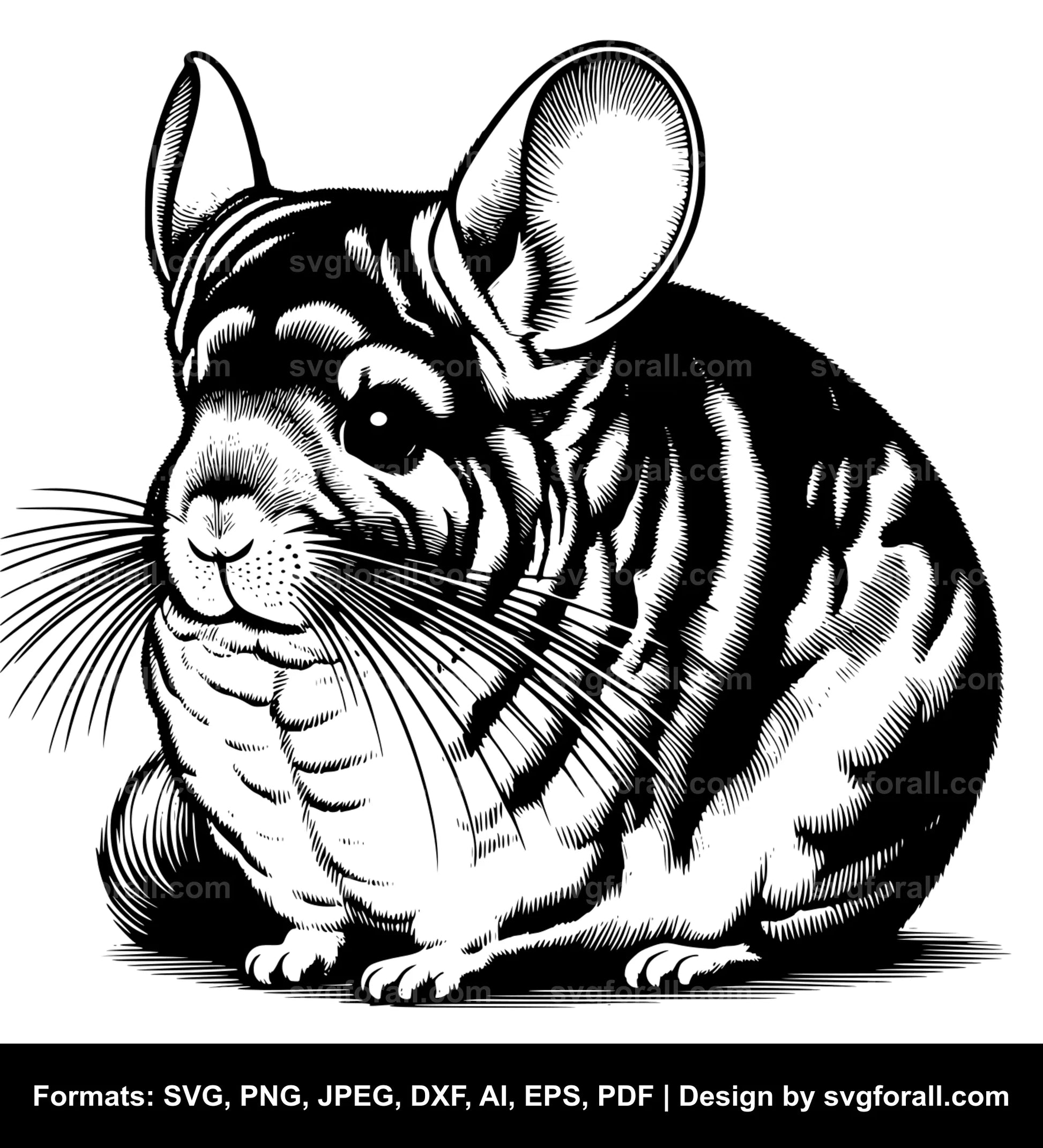 Chinchilla SVG