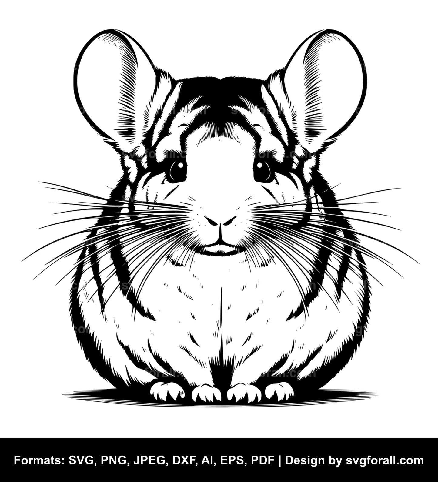 Chinchilla SVG Design