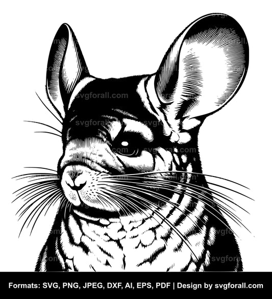 Chinchilla SVG File