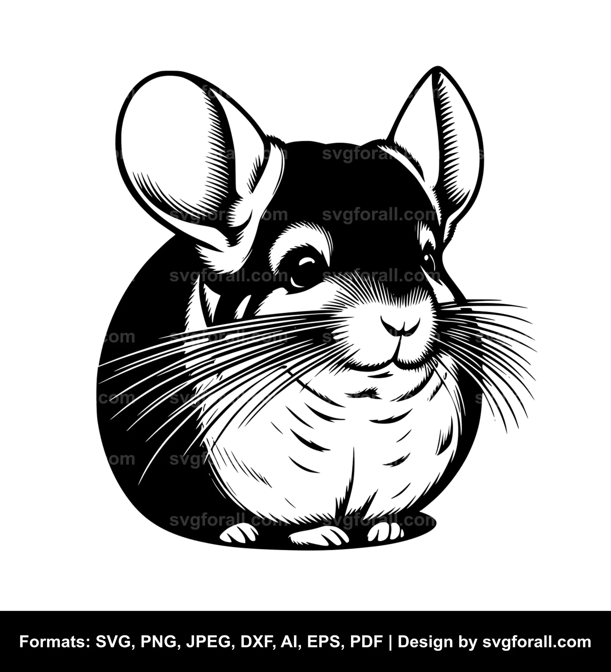 Chinchilla SVG PNG