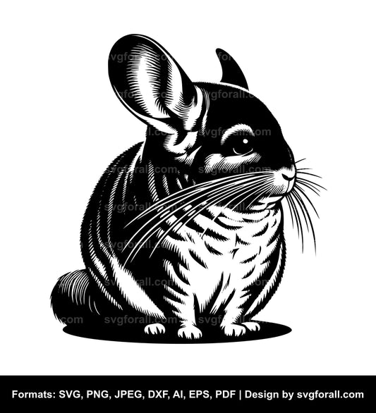 Chinchilla SVG Vector