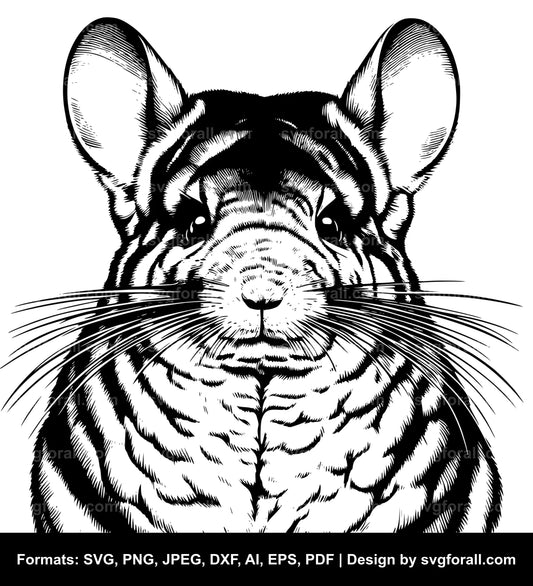 Chinchilla Vector SVG