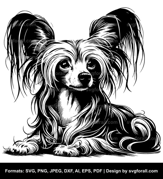 Chinese Crested Dog Black SVG