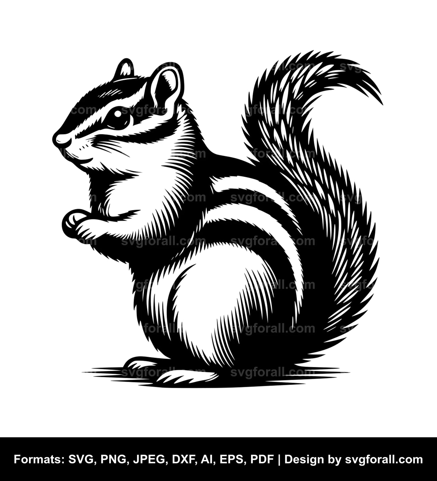 Chipmunk Clipart SVG