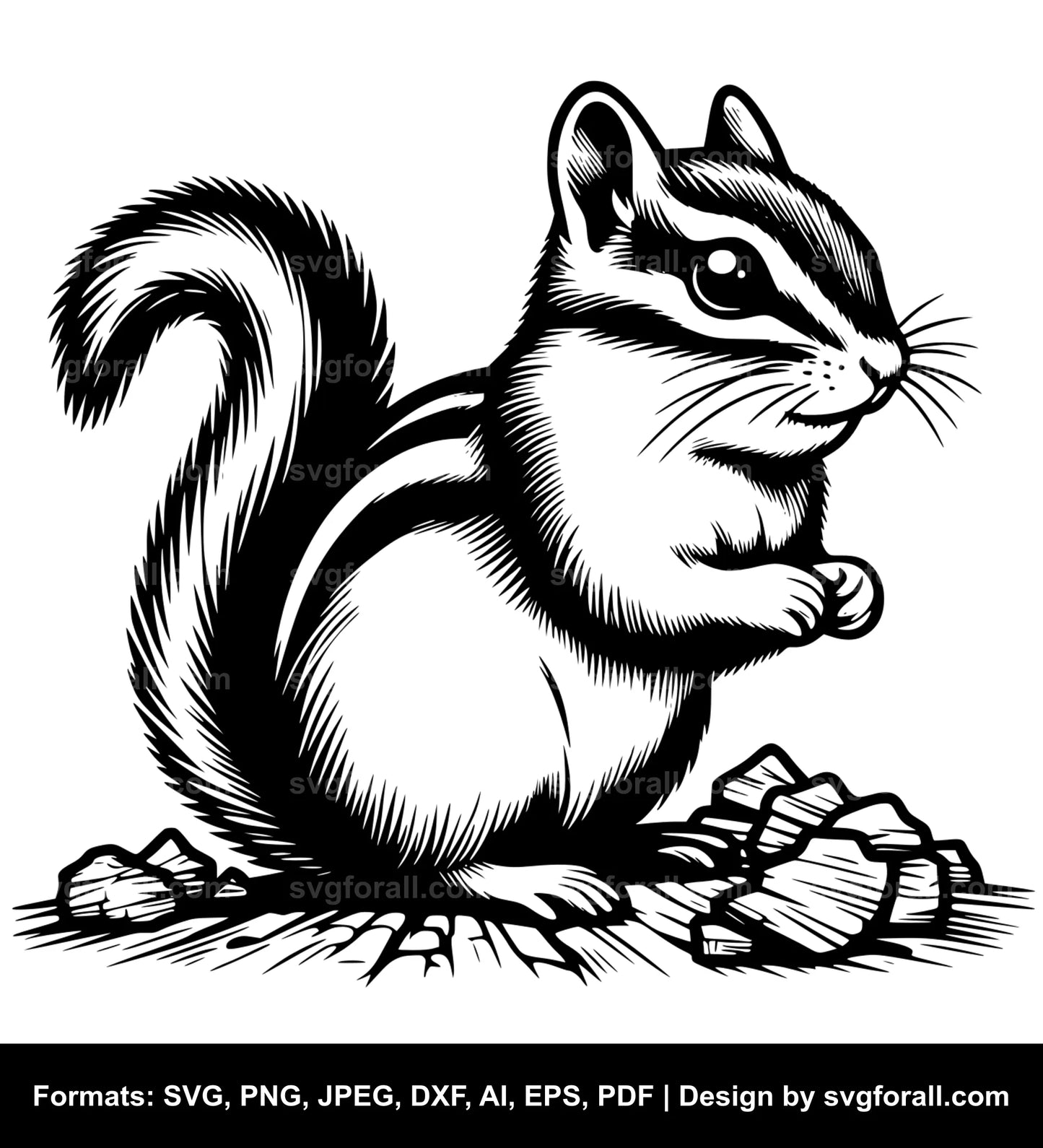 Chipmunk SVG Design