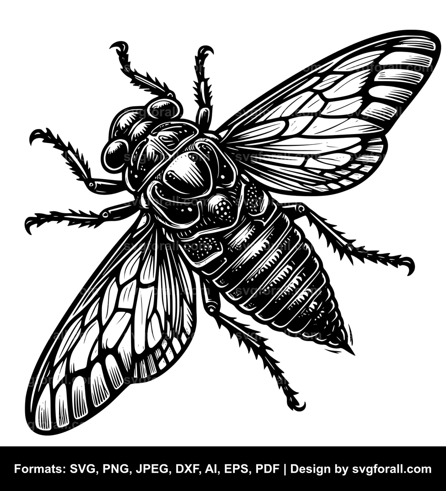 Cicada Black SVG