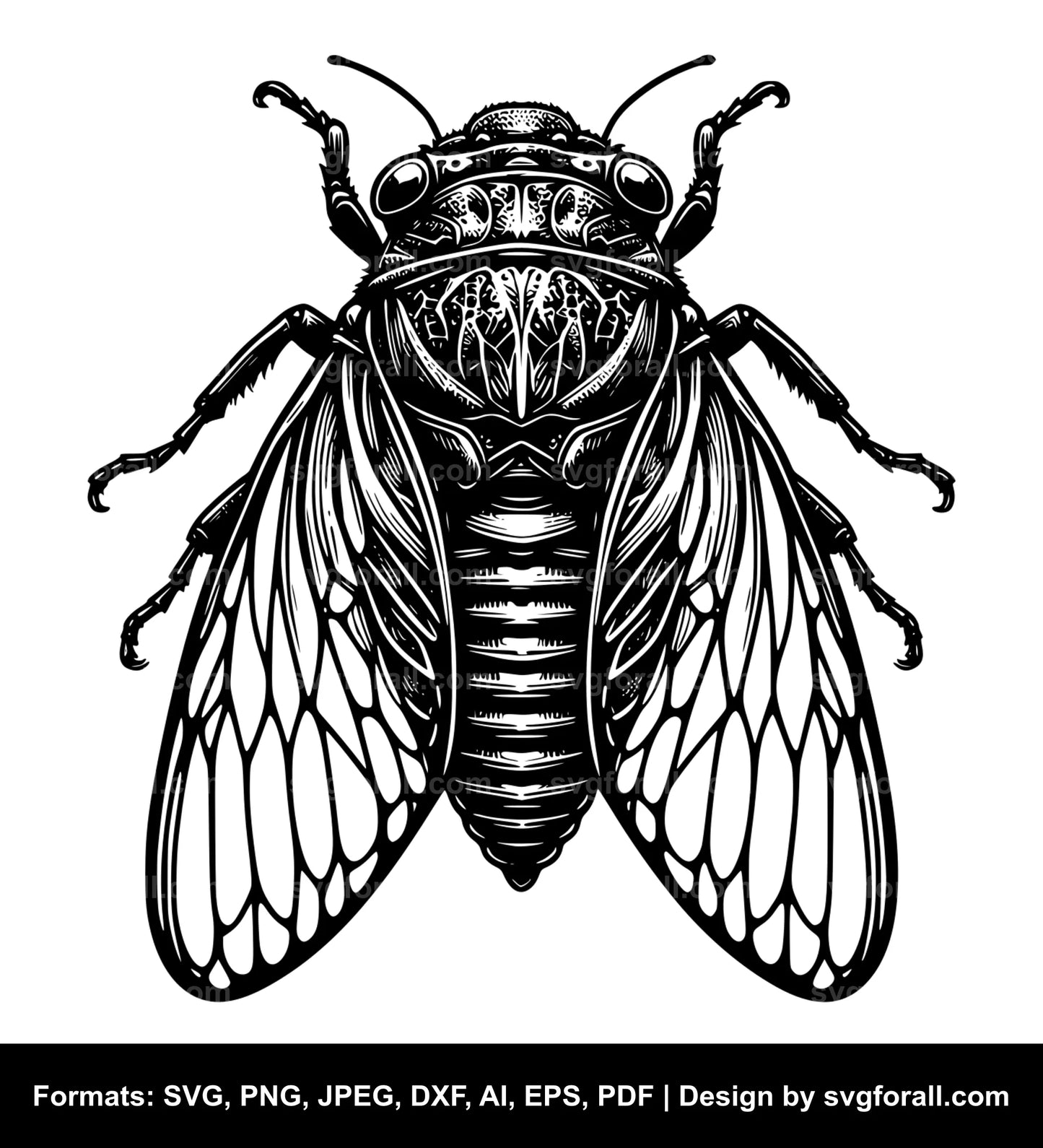 Cicada SVG