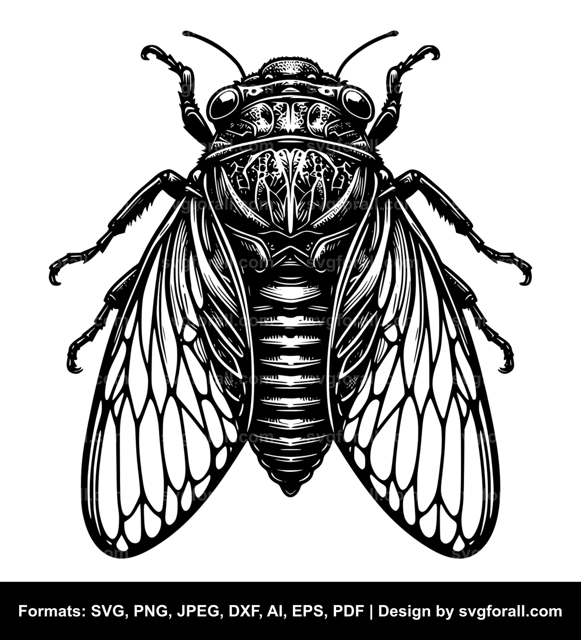 Cicada SVG