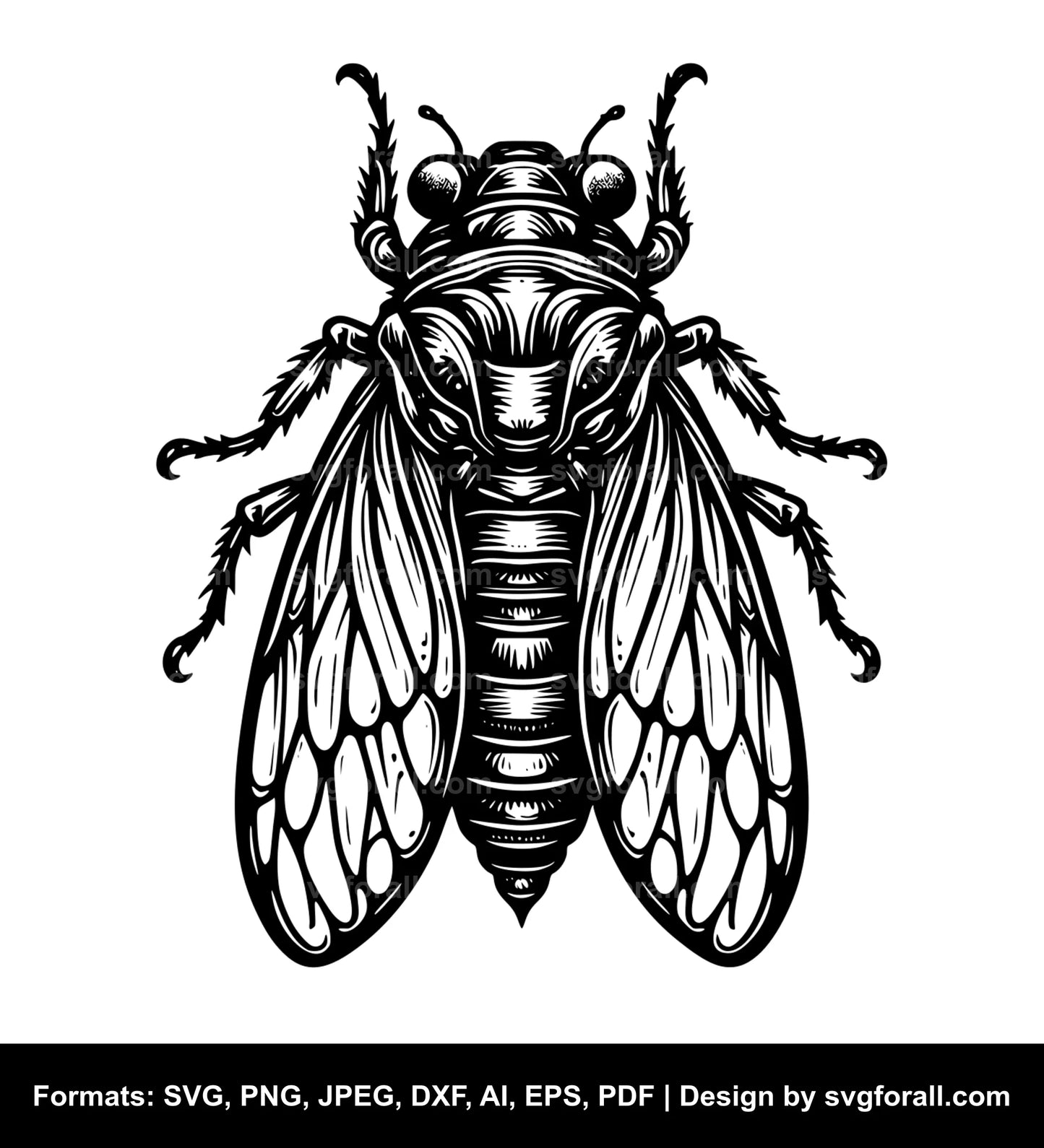 Cicada SVG File