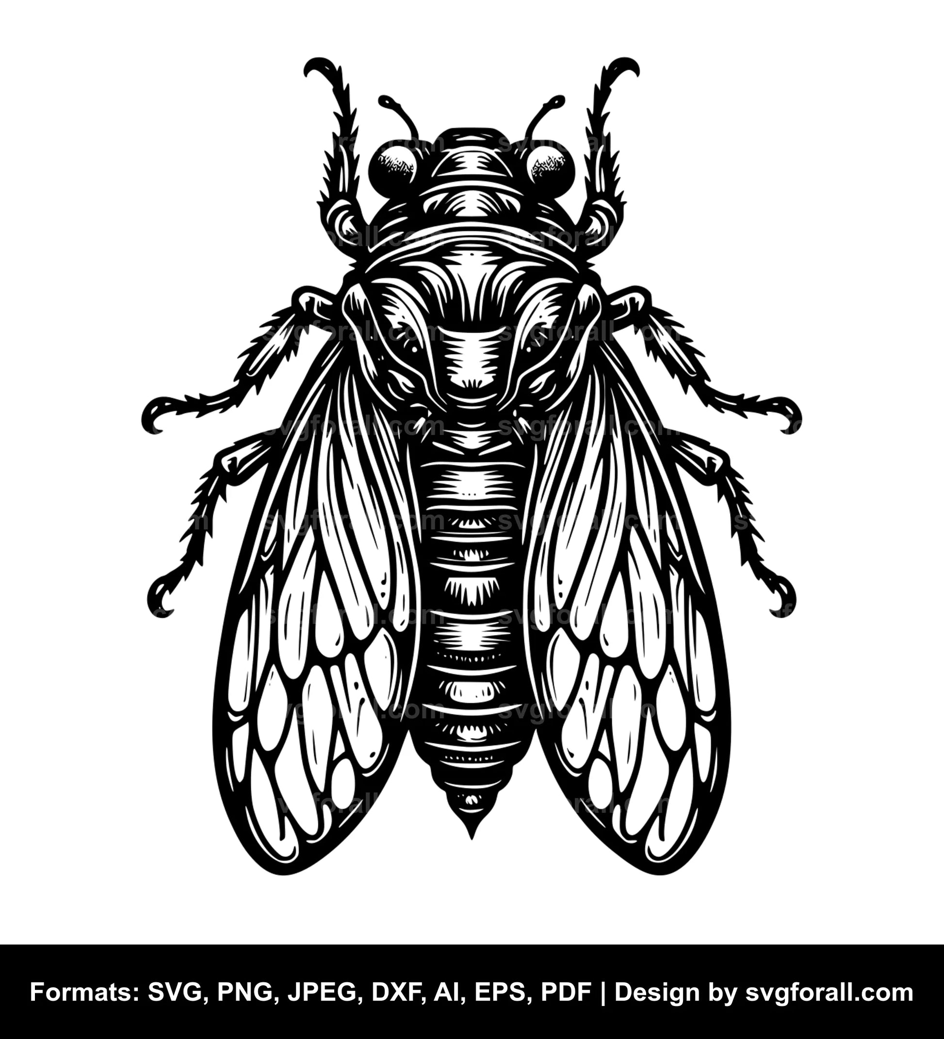 Cicada SVG File