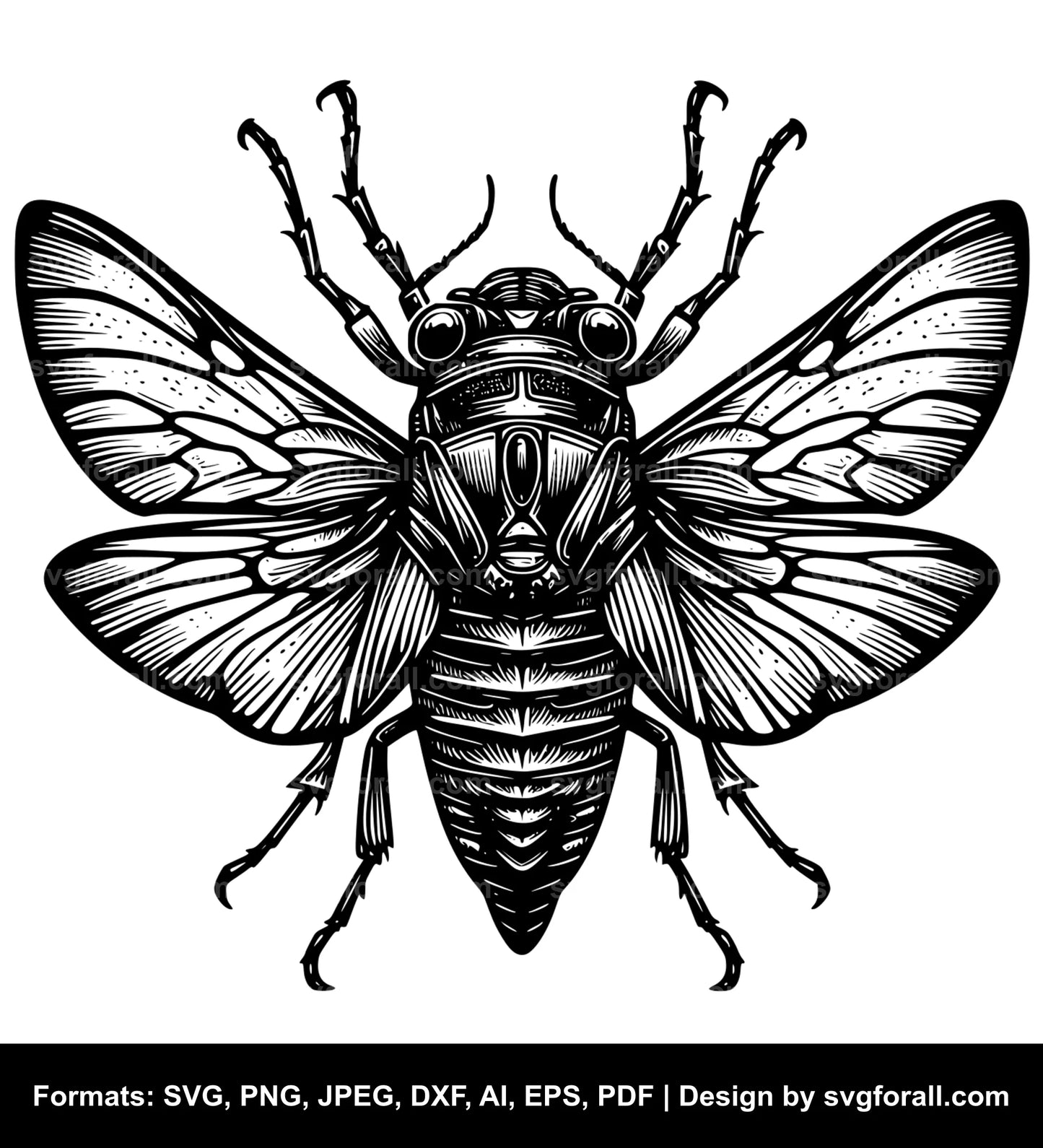 Cicada SVG Vector