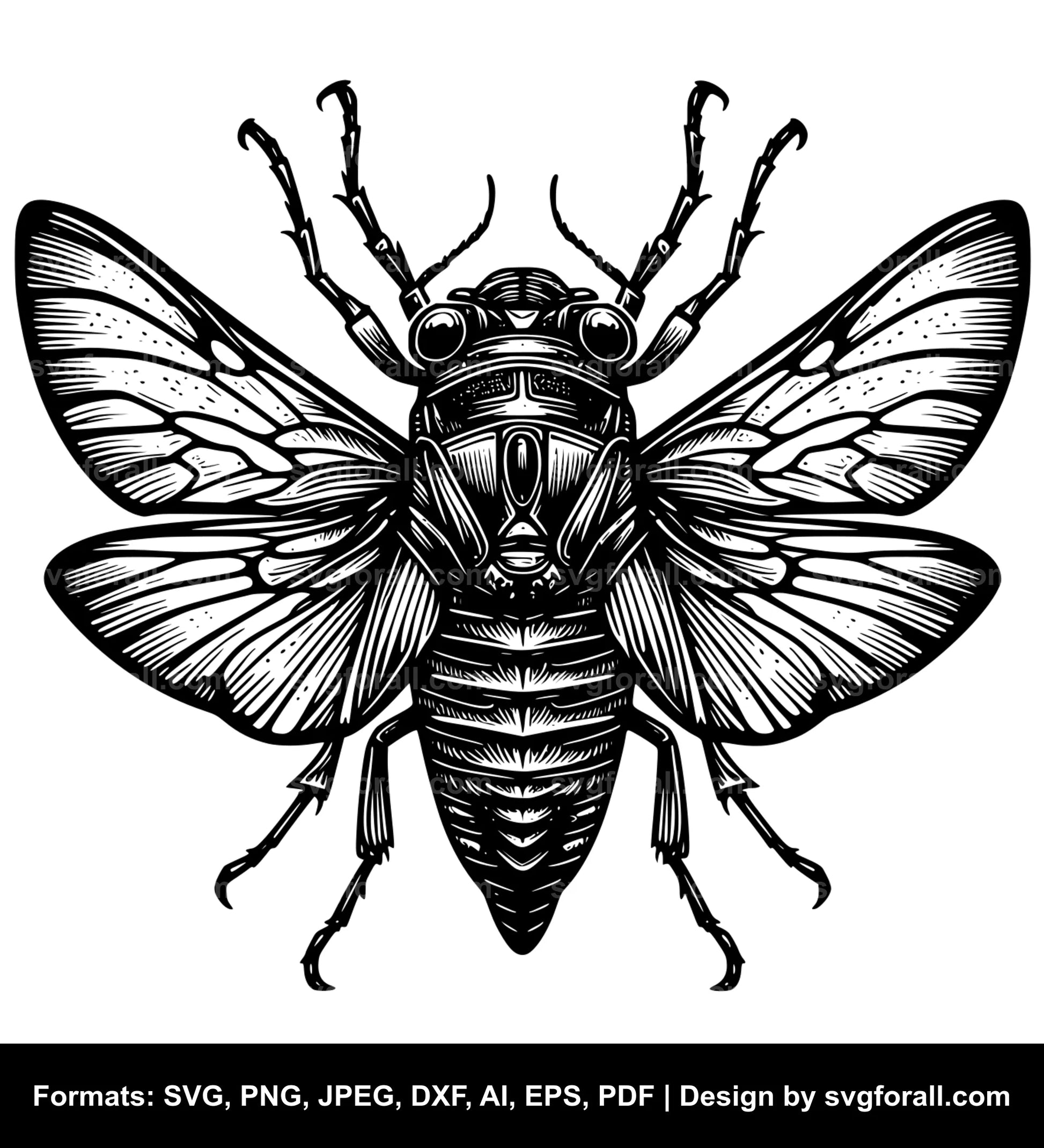 Cicada SVG Vector