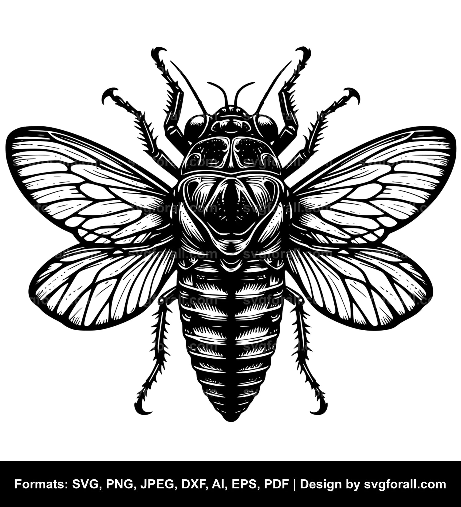 Cicada Vector SVG