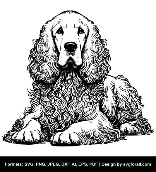 Clumber Spaniel Dog SVG File