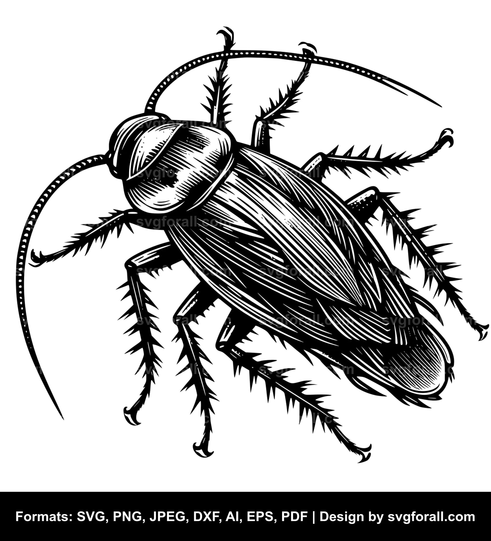 Cockroach SVG Vector