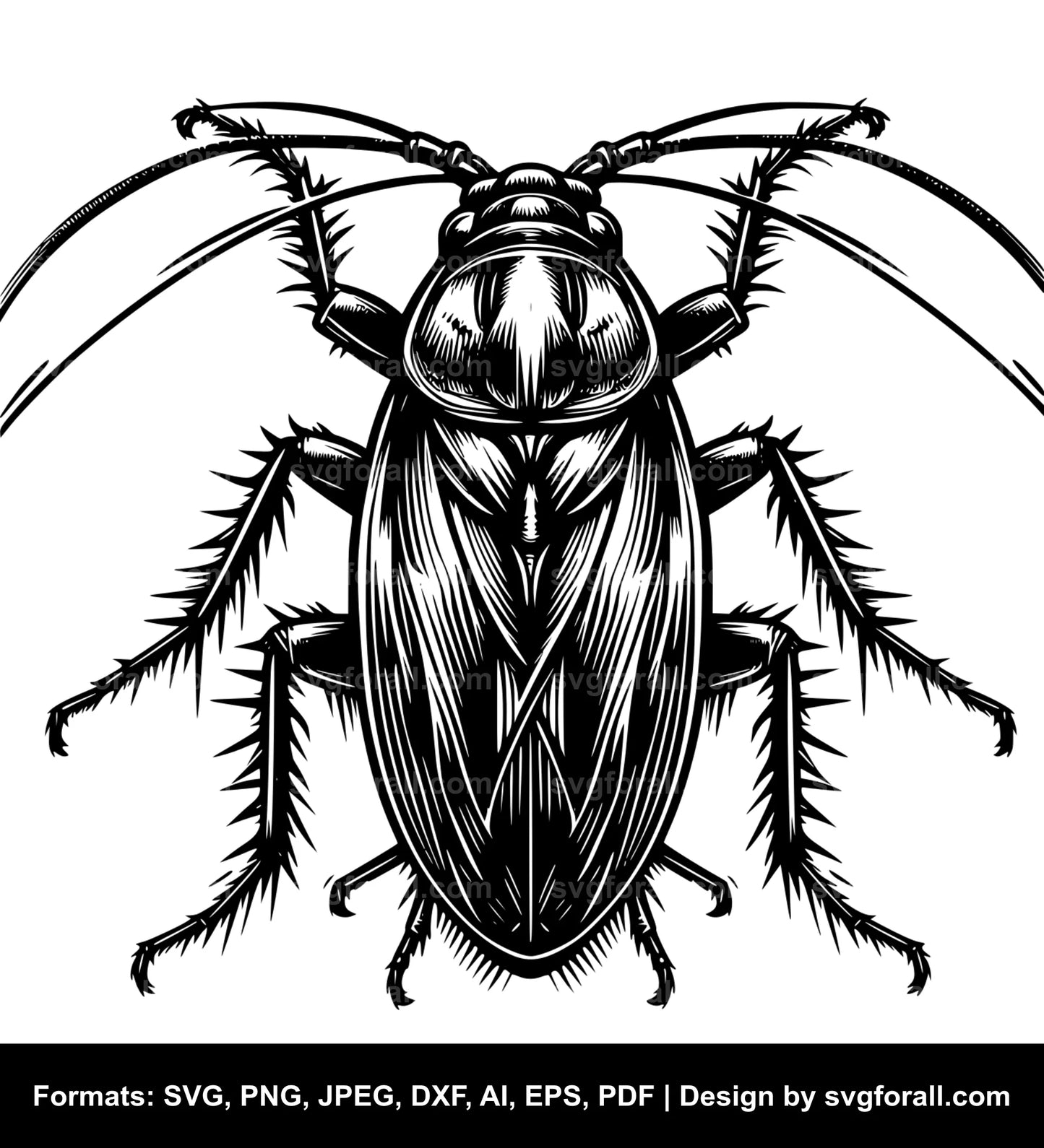 Cockroach Vector SVG