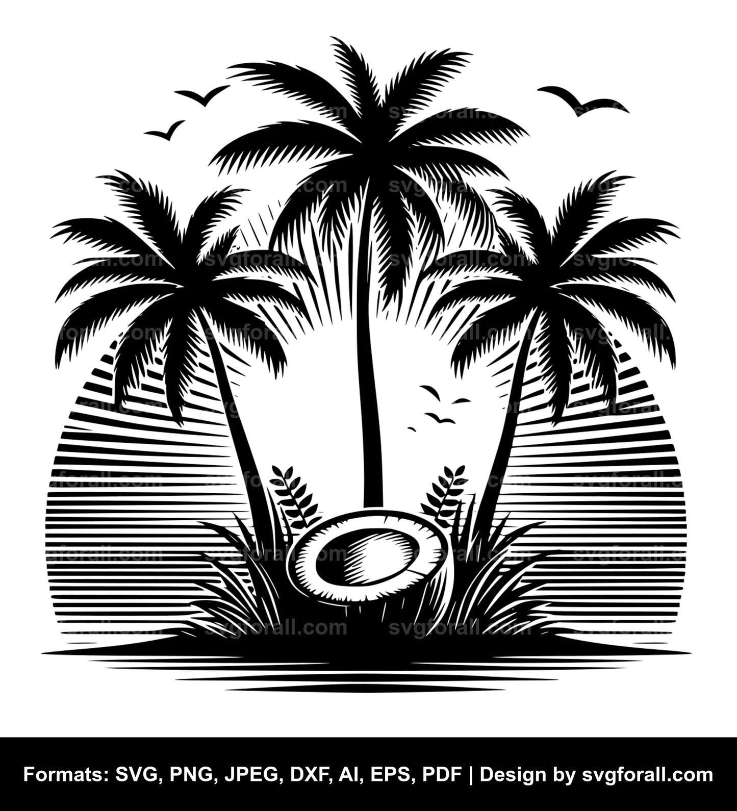 Coconut SVG PNG