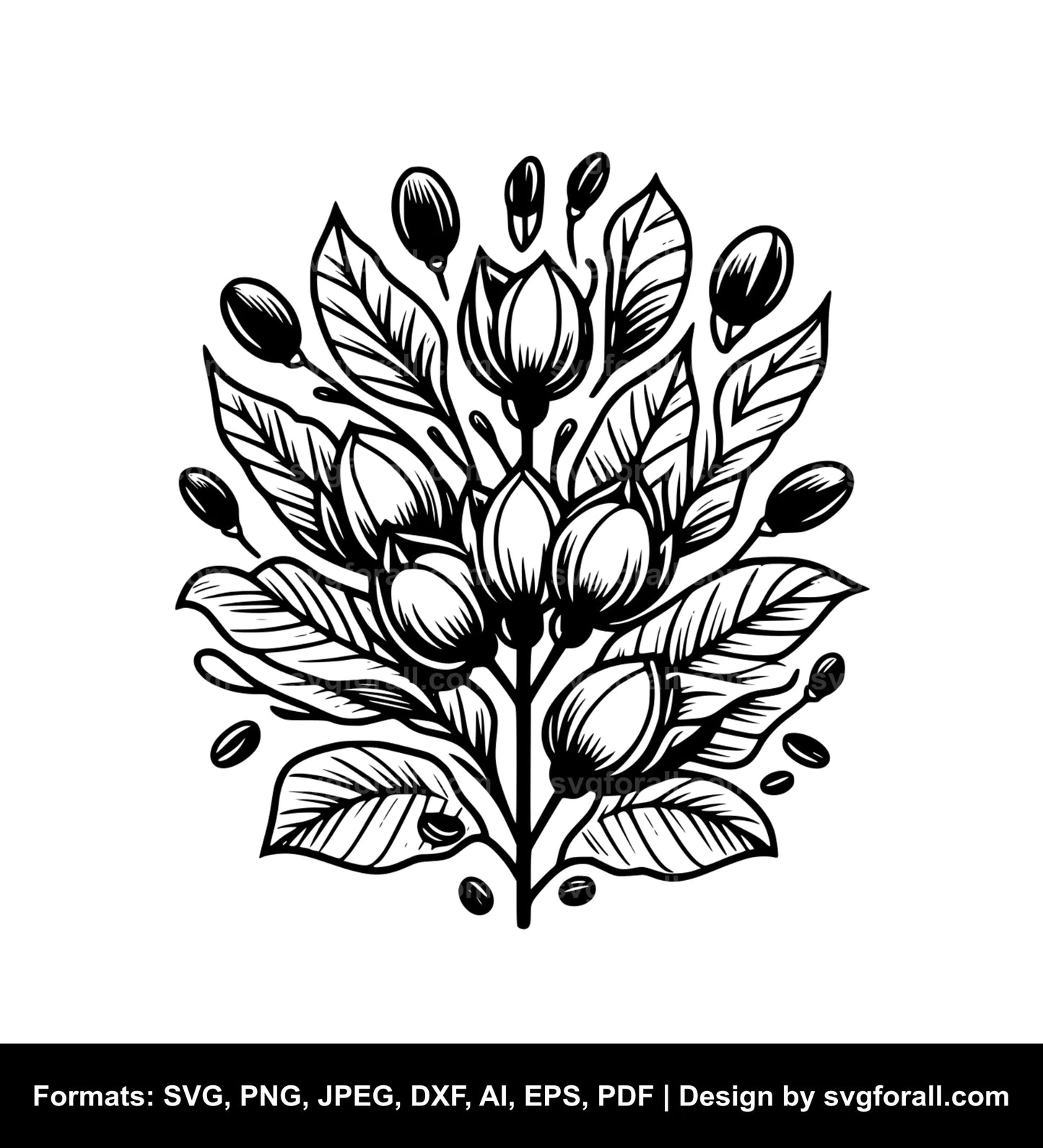 Coffee Plant Clipart SVG