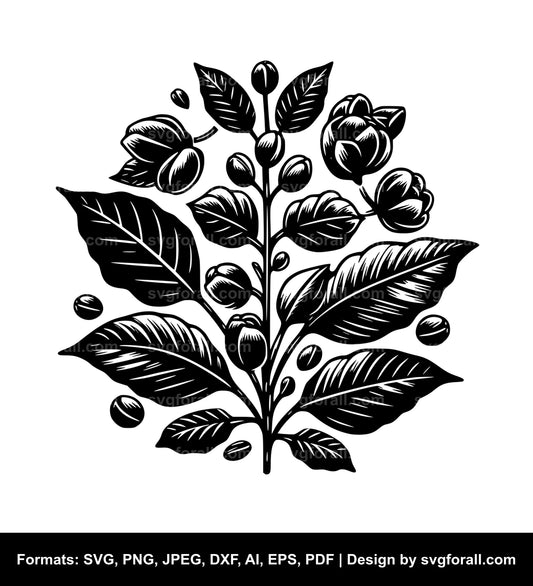 Coffee Plant SVG Vector