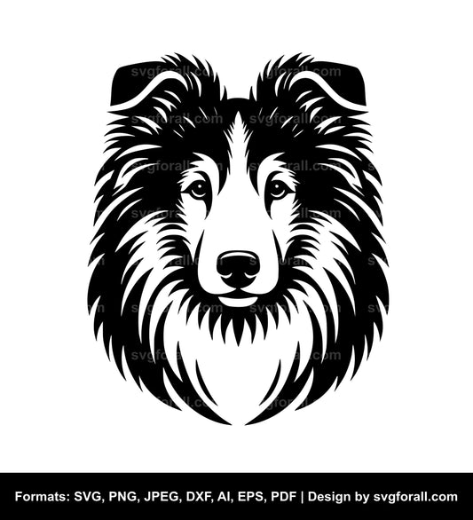 Collie Dog SVG