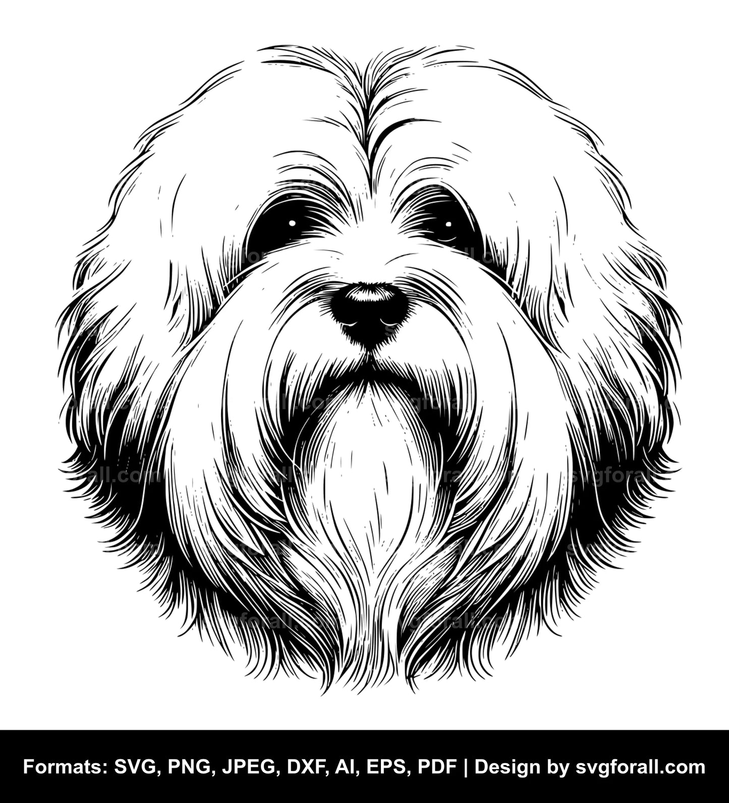 Coton De Tulear Dog Black SVG