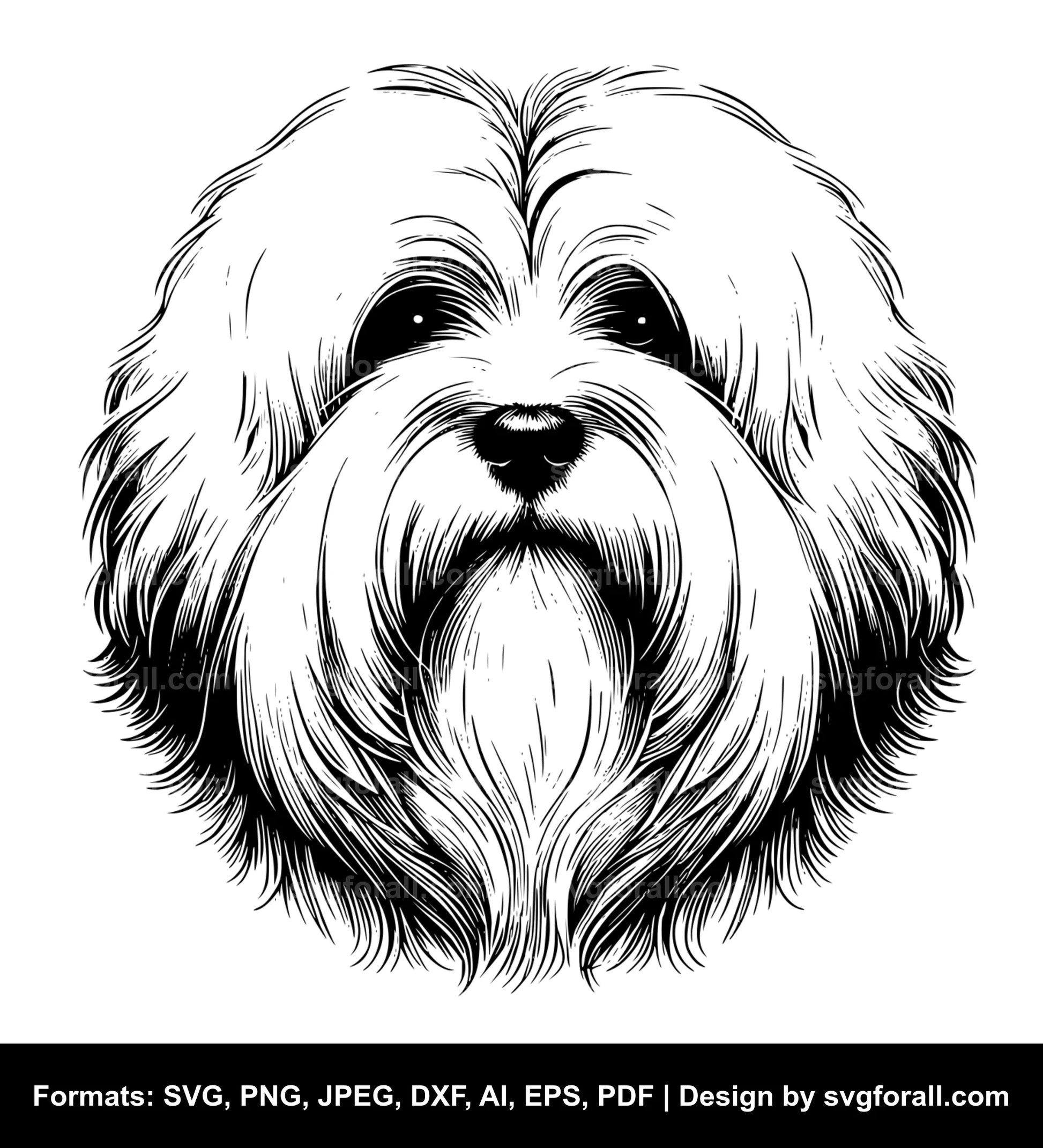 Coton De Tulear Dog Black SVG