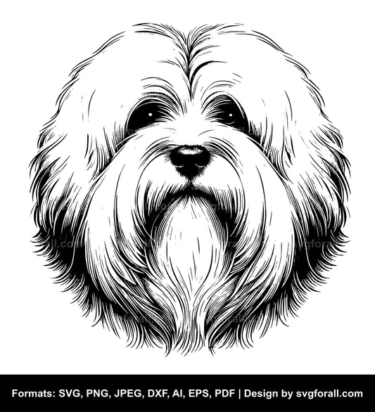 Coton De Tulear Dog Black SVG