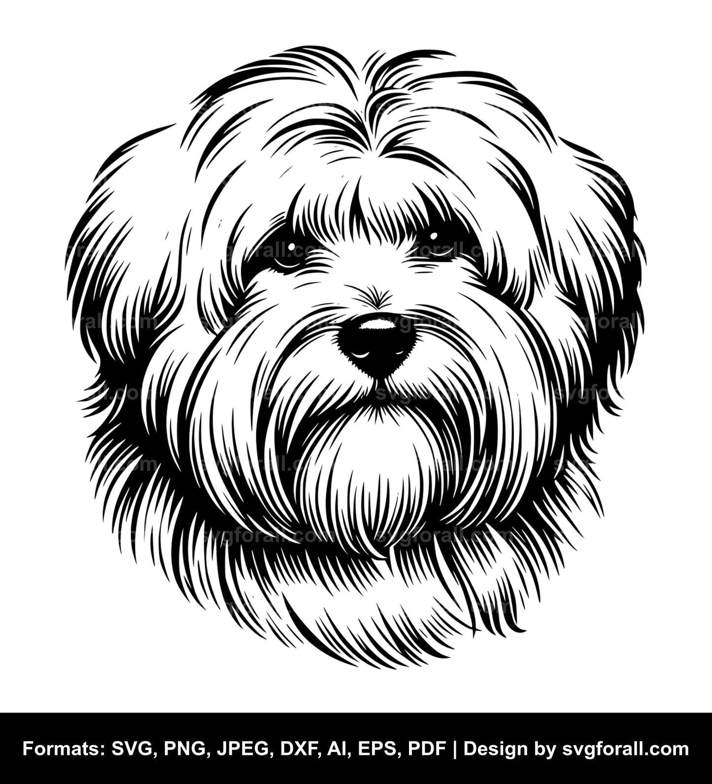 Coton De Tulear Dog SVG