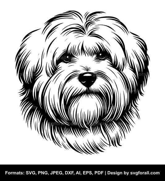 Coton De Tulear Dog SVG