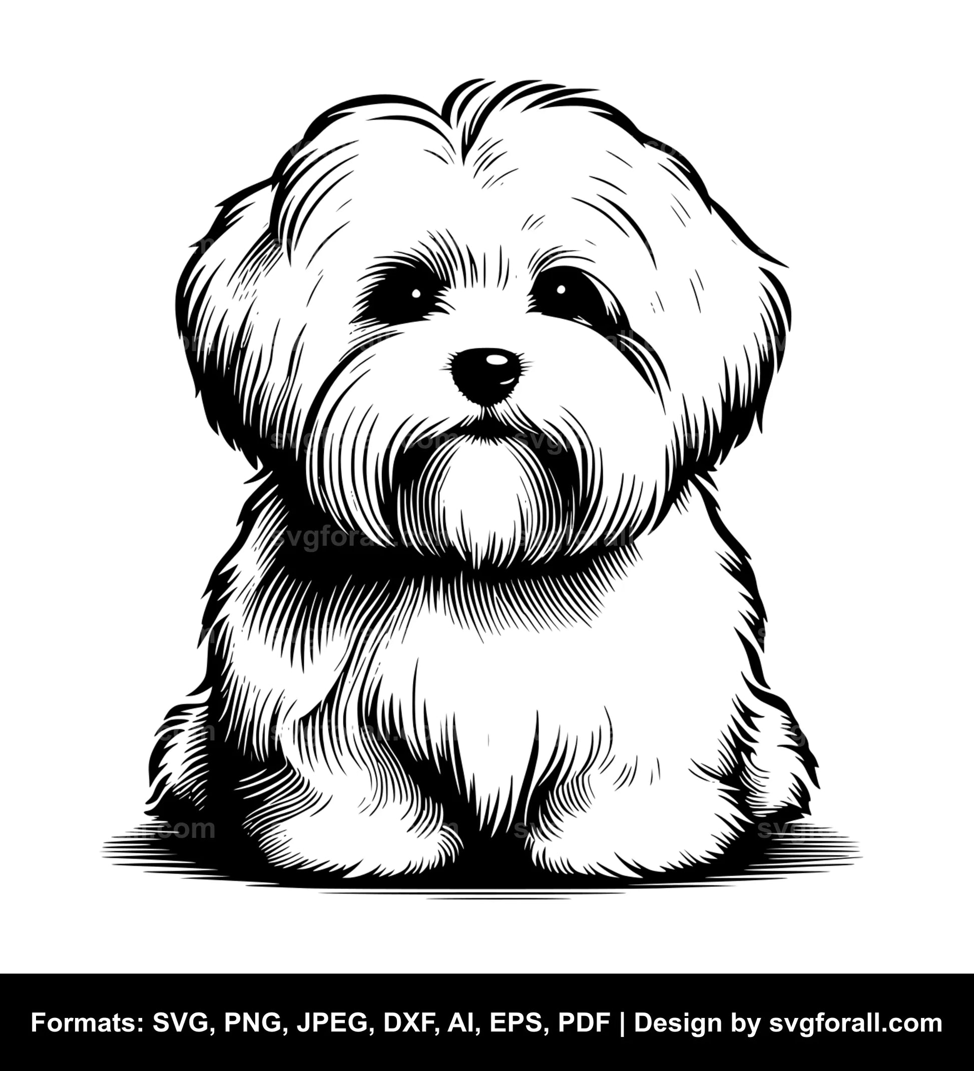 Coton De Tulear Dog SVG Design