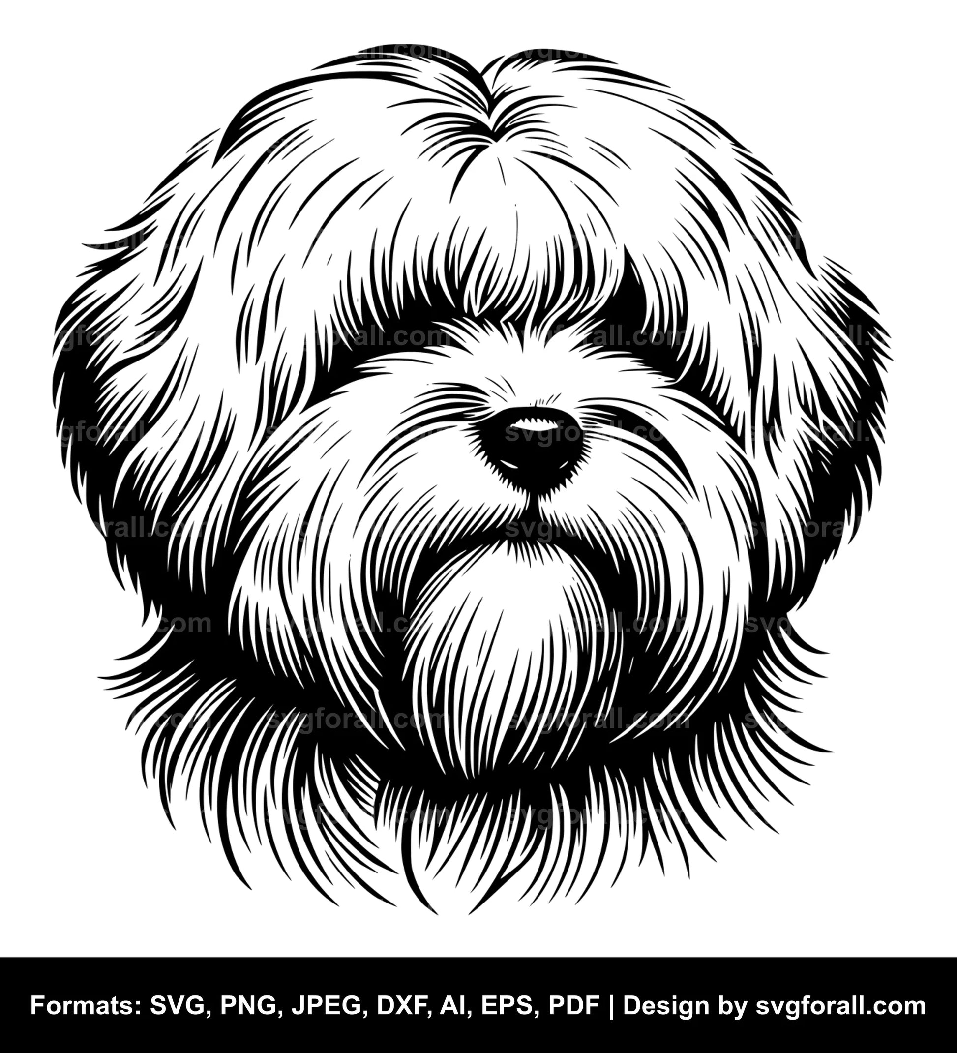 Coton De Tulear Dog SVG File