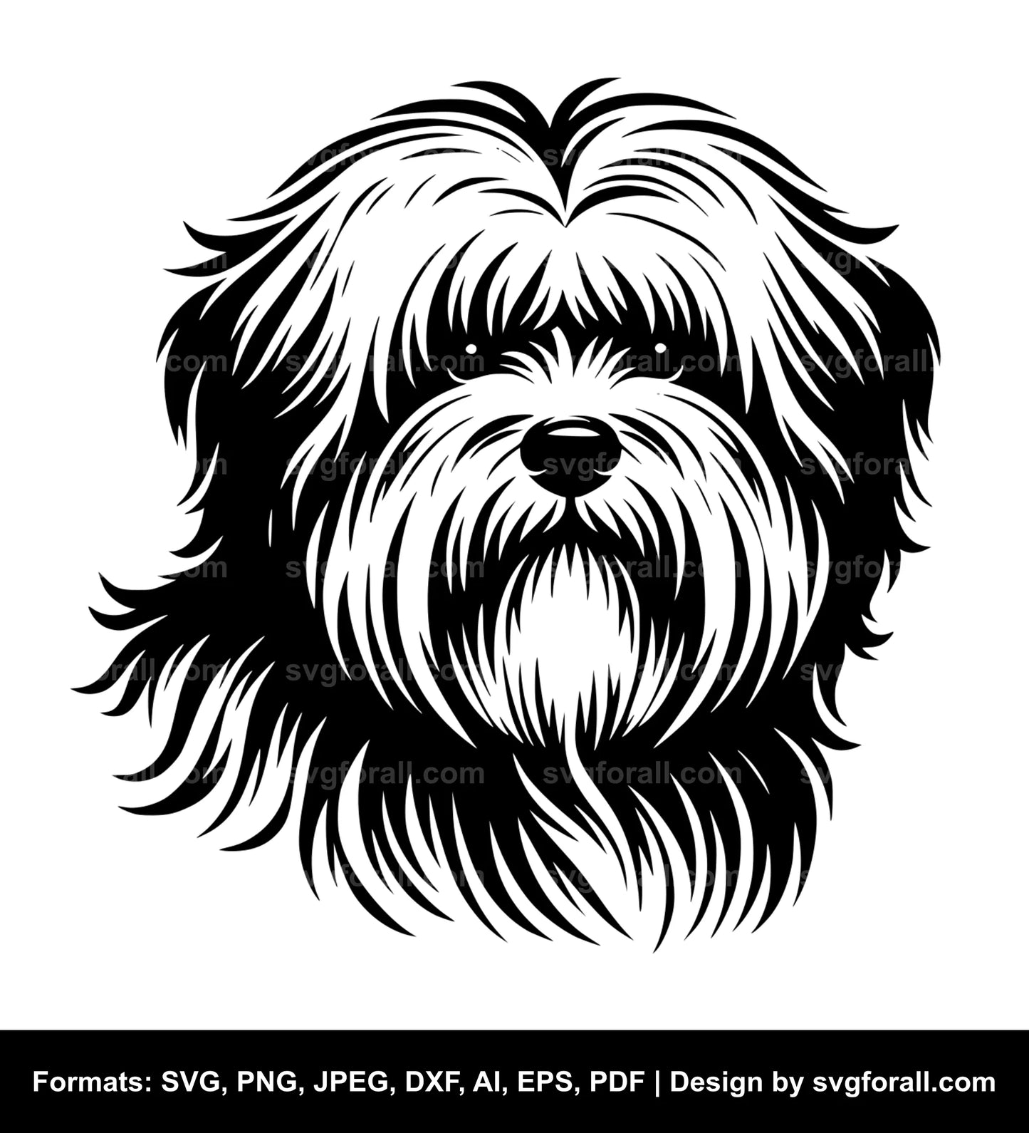 Coton De Tulear Dog SVG PNG