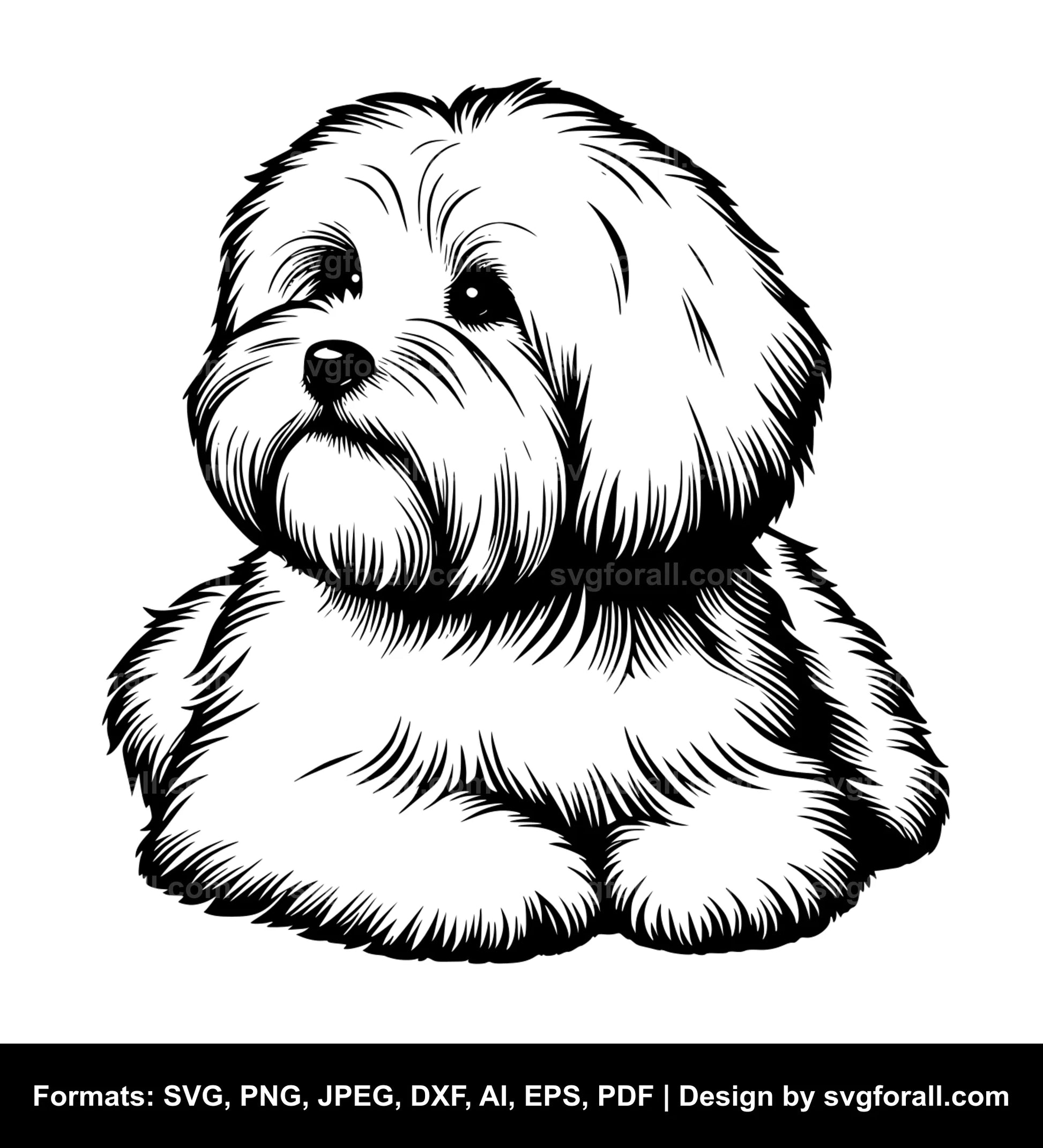 Coton De Tulear Dog SVG Vector