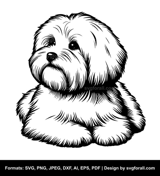 Coton De Tulear Dog SVG Vector