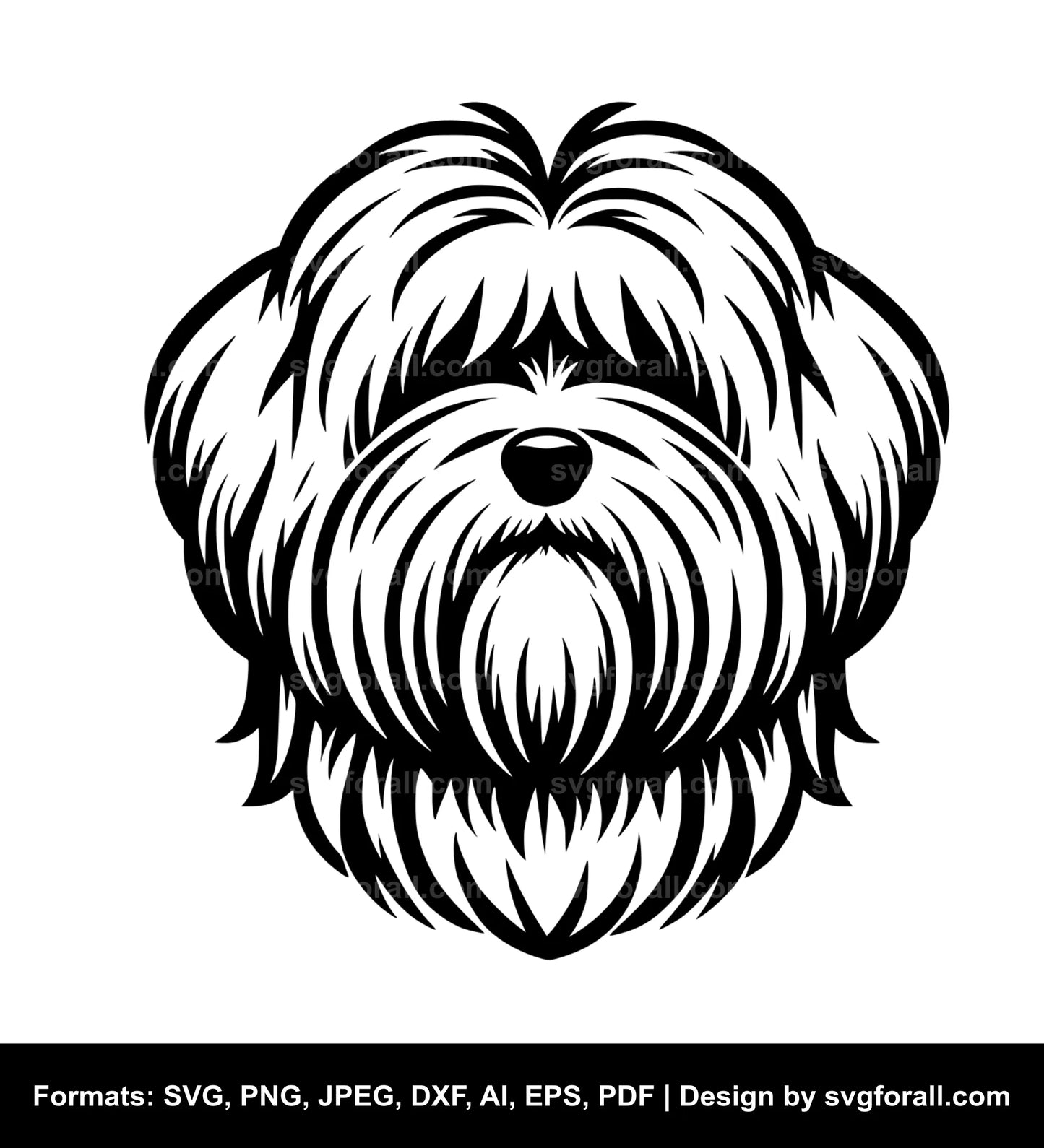 Coton De Tulear Dog Vector SVG