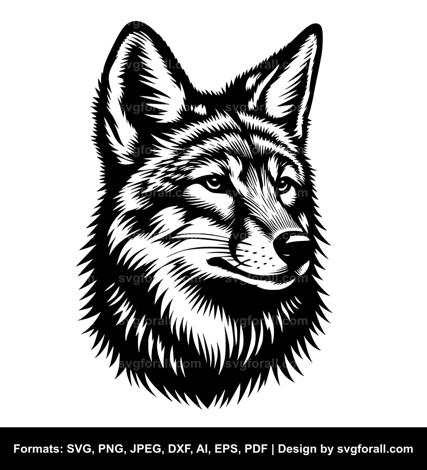 Coyote SVG PNG