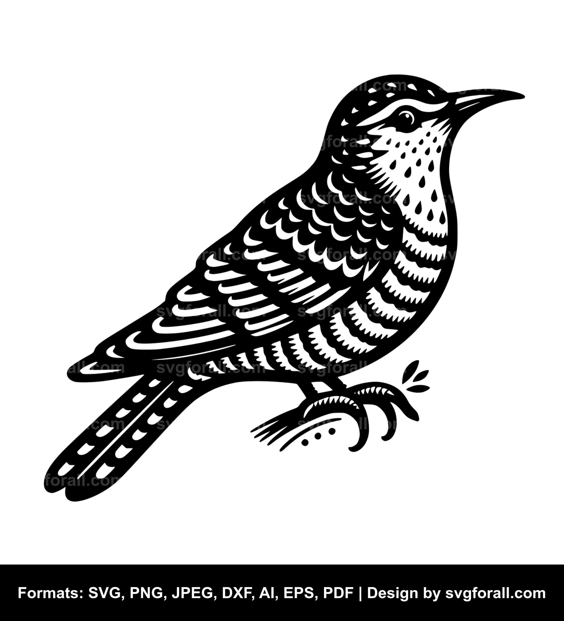 Cuckoo Bird SVG Design