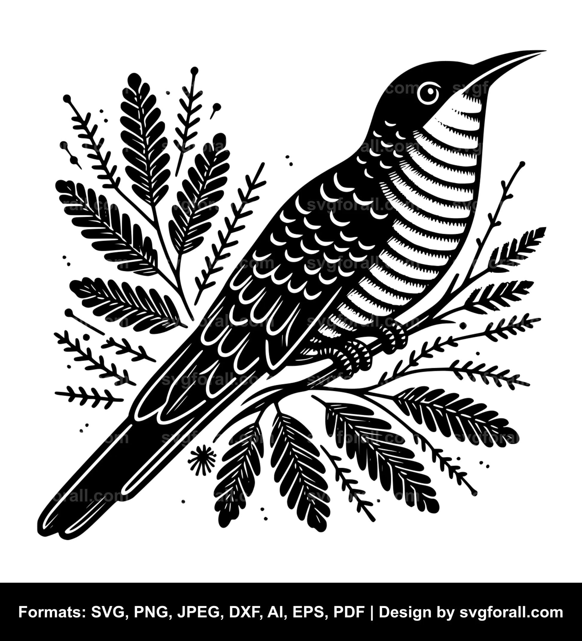 Cuckoo Bird SVG Vector