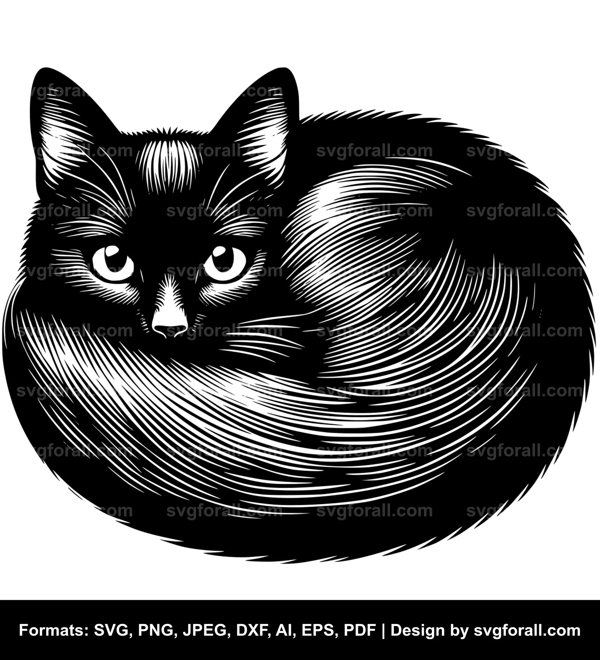 Curled Up Cat SVG PNG