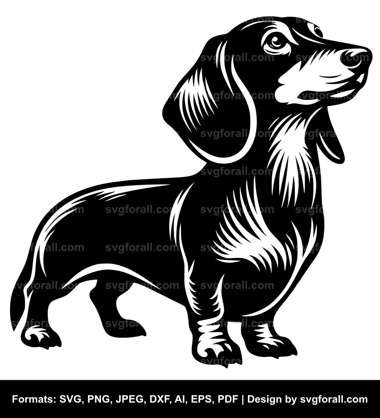 Dachshund Dog Black SVG