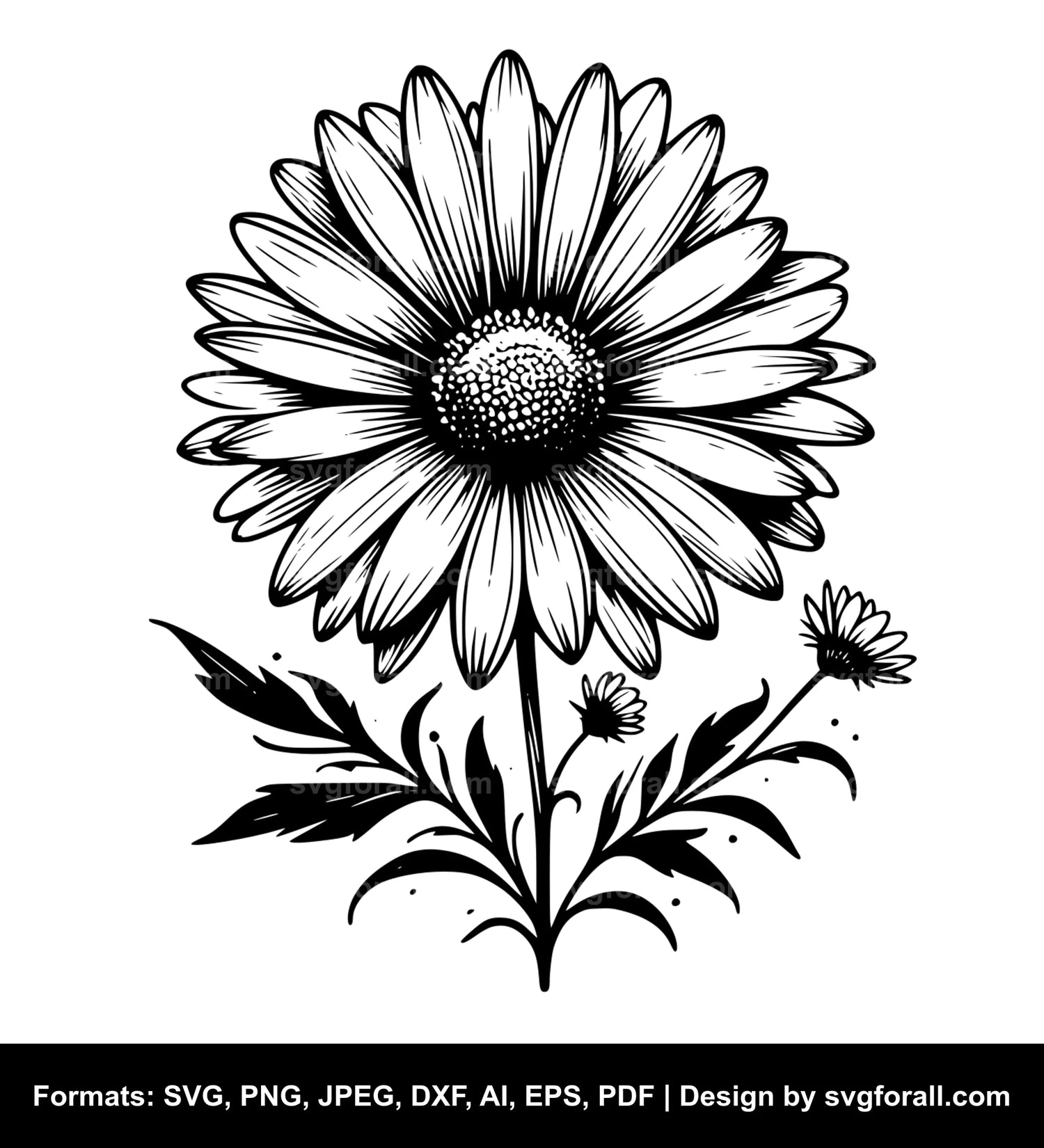 Daisy Cricut SVG