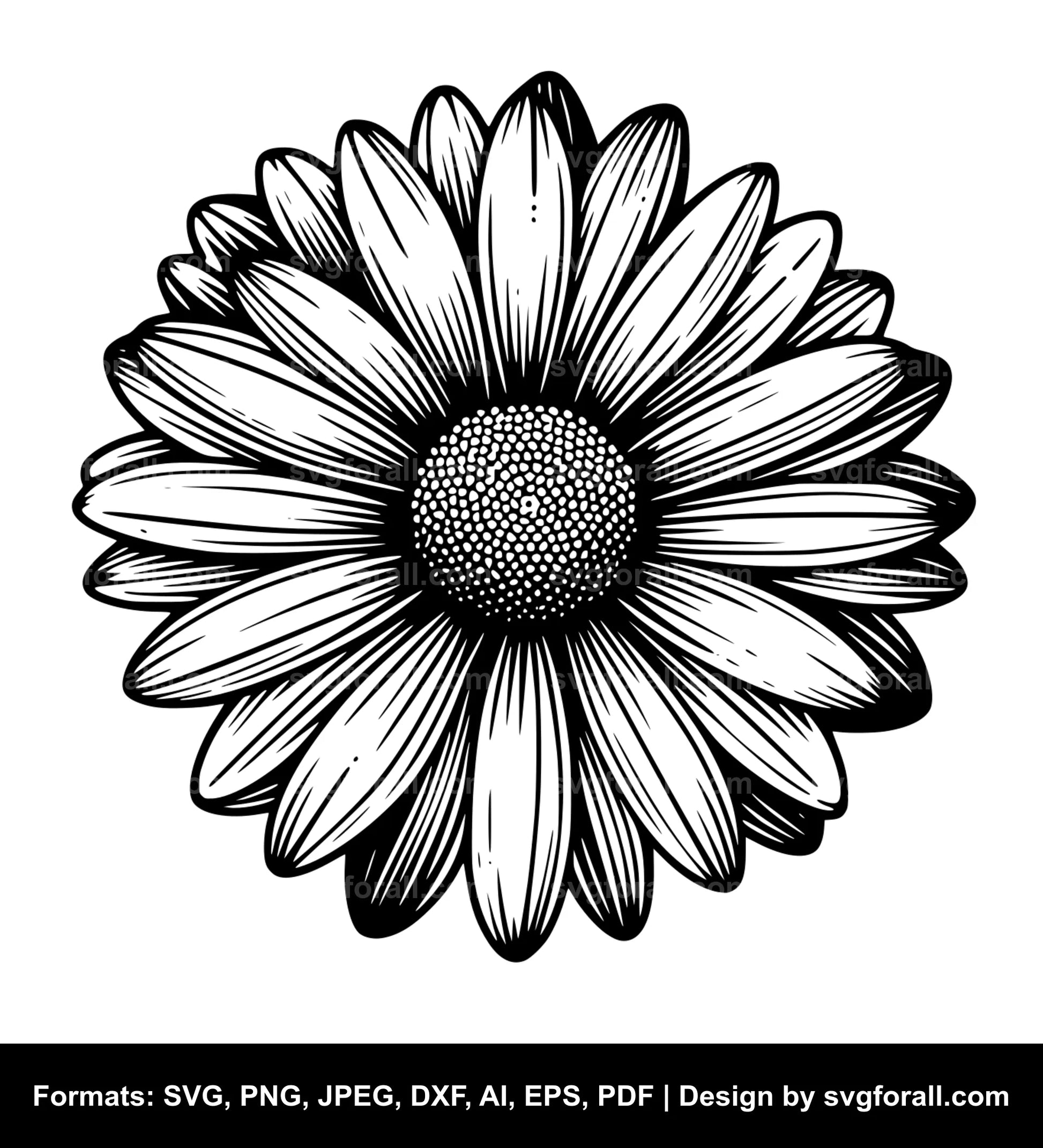 Daisy Flower Black SVG